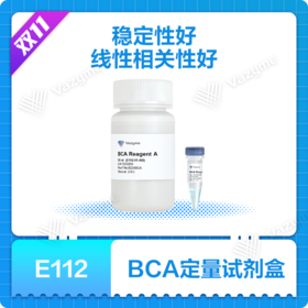 BCA Protein Quantification Kit