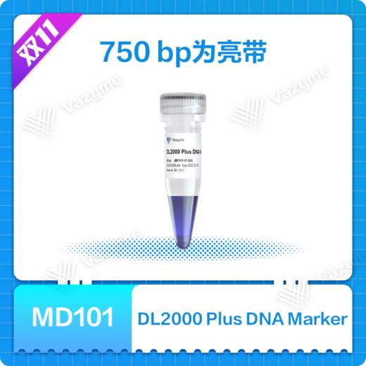 DL2000 Plus DNA Marker 商品图0