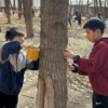 【小小护林员】走进北宫国家森林公园，给大树缠胶带，为鸟儿制作鸟食棒，累计2小时志愿时长 商品缩略图1
