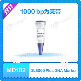 DL5000 DNA Marker