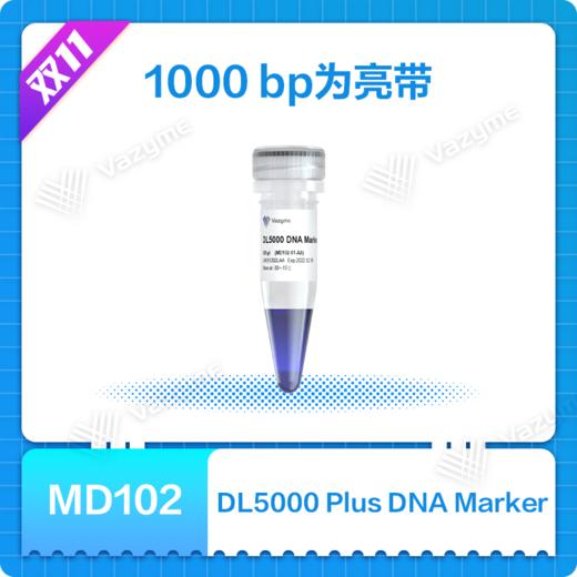 DL5000 DNA Marker 商品图0