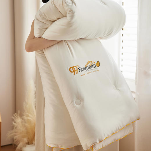 自然醒60支7A全棉抗菌99%大豆纤维被子被芯A类四季通用加厚保暖冬被春秋被LFS 商品图10