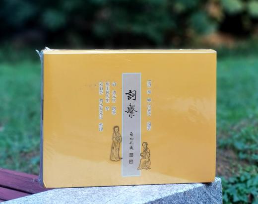 《词系》，精装，全6册，17开，清 秦𪩘编，邓魁英整理，北京师范大学出版社2010年6月一版一印，定价360，售价116元。 商品图0