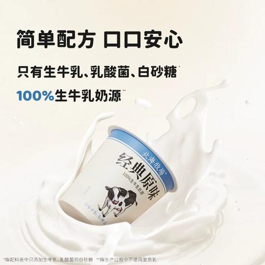 【直供】北海牧场经典小白杯原味发酵乳 低温酸奶100g*15杯 商品图2