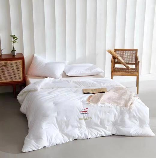 波兰分区保暖羽绒冬被 商品图0