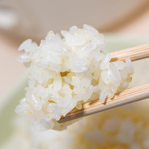 那陌田留胚米软糯香甜500g尝鲜装 商品图3