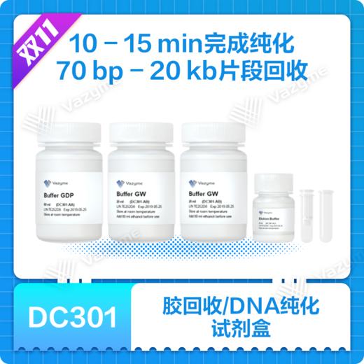 FastPure Gel DNA Extraction Mini Kit 商品图0