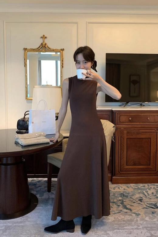 SIA SAYLOR 棕咖美拉德高领连衣裙 19237 商品图2
