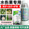 荣邦70%烯酰霜脲氰农用杀菌剂水伤黄瓜霜霉病专用杀菌剂正品批发 商品缩略图2