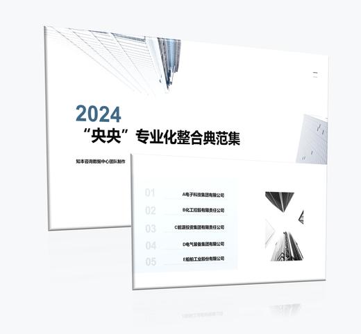 案例研习 | “央央”专业化整合典范集2024 商品图0