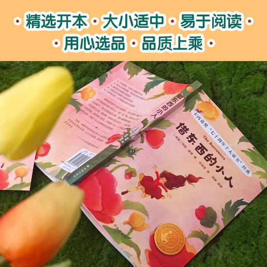 【小译林国际大奖童书】借东西的小人 商品图8