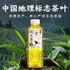 茶小开 烟波龙井茶饮料500ml*15瓶装 商品缩略图2