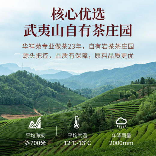 【买一送一】华祥苑-星时光武夷山核心产区大红袍到手232g 自饮盒装 商品图4