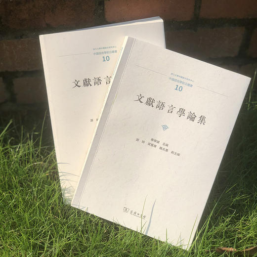 文献语言学论集(中国语言学前沿丛书) 商品图2