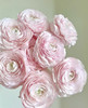 国产花材-【成功洋牡丹】樱花粉 商品缩略图0