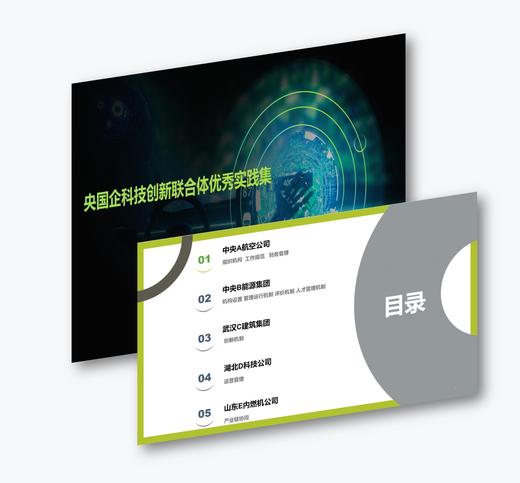 案例研习 | 央国企科技创新联合体优秀实践集2024 商品图0