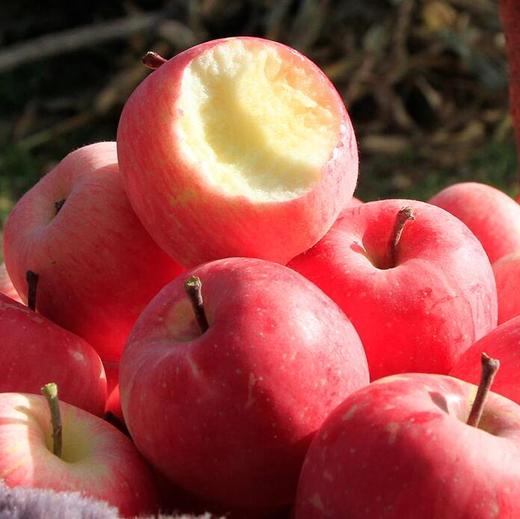 静宁红富士  特大果  9枚装 商品图4