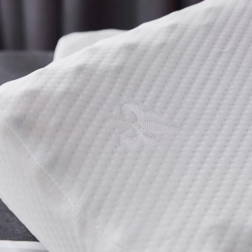 皮尔特保罗  记忆棉按摩枕 PPLZ-002 商品图3