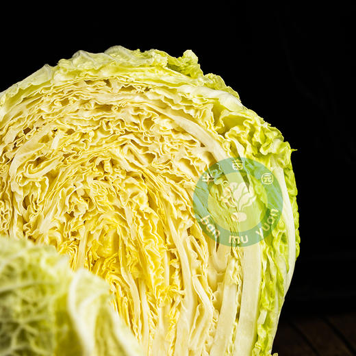 新疆 有机翠玉大白菜 4kg/箱（1~2棵） 商品图2