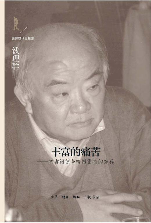 丰富的痛苦 商品图0