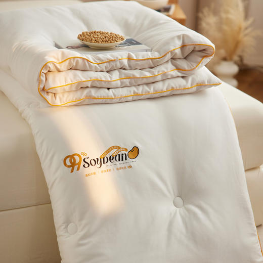自然醒60支7A全棉抗菌99%大豆纤维被子被芯A类四季通用加厚保暖冬被春秋被LFS 商品图12