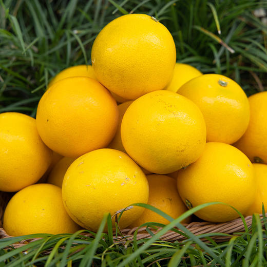 云南高原野花斑橙 一点点丑 多多的甜 自然生长 橙味十足 完美酸甜比  商品图6