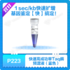 2 × Rapid Taq Plus Master Mix (Dye Plus) 商品缩略图0