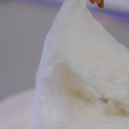 【换季必备】【奕虹新疆行】【正宗新疆棉花被】有着阳光味道的棉花被，采用南疆手采棉花，蓬松的纤维感，云朵般轻柔 商品图12