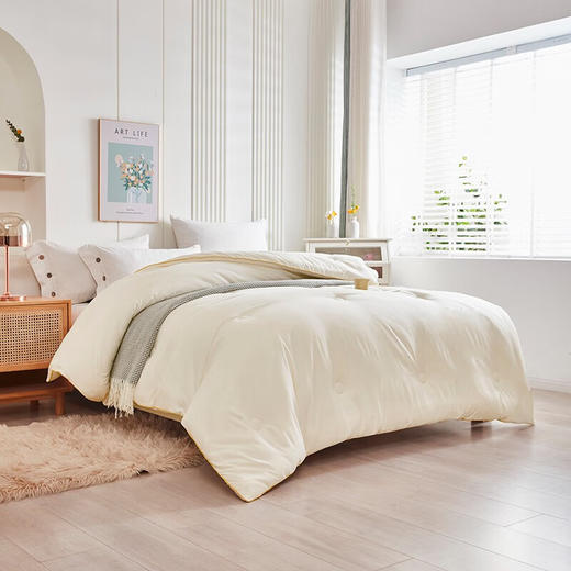 皮尔特保罗  大豆抑菌被 POLOB-2345 商品图2