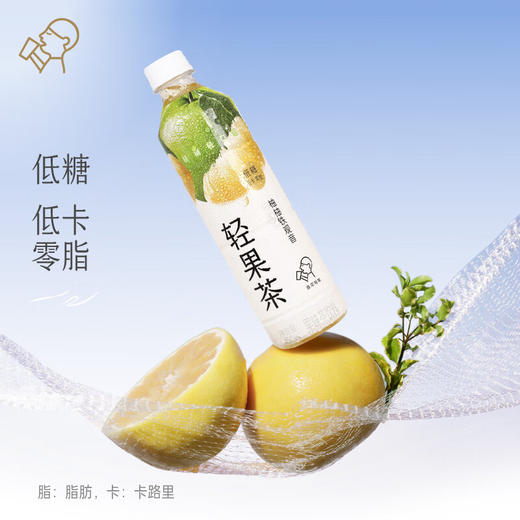 喜茶轻果茶柚柚铁观音450ml*15瓶整箱 商品图2