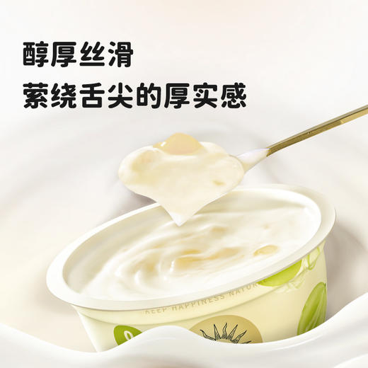 【直供】北海牧场宝石碗系列风味发酵乳系列12杯 商品图3