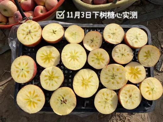 红旗坡六队顶级阿克苏苹果（甜度、水分、风味，独领风骚，刷新你认知的阿克苏苹果，你以往从未吃到的顶级口感） 商品图1