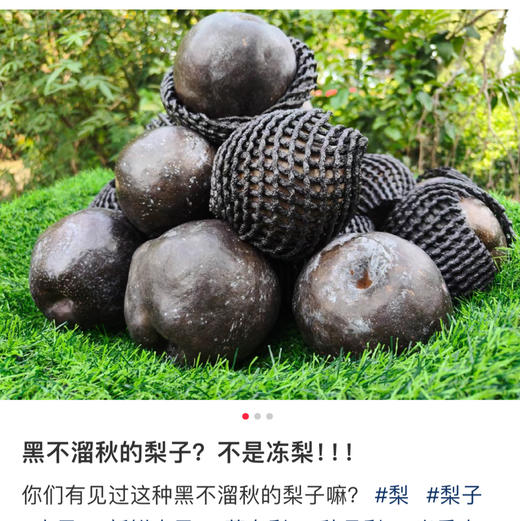 西藏藏乌梨，梨子界的贵族，因为他的种植要求很高所以产量比较少。纯天然灌溉的雪域藏乌梨，每一个都是脆嫩香甜，皮薄肉厚汁水充盈，入口果香浓郁！900克/盒，两粒。一组两盒 商品图2