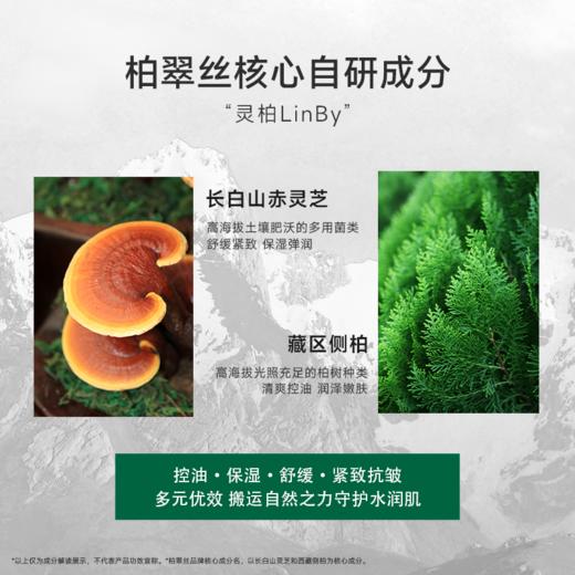 【柏粉618福利-29.9元任选3件】柏翠丝黑头闭口水紧致毛孔湿敷精华水小样10ml+50片湿敷棉 商品图3