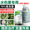 荣邦70%烯酰霜脲氰农用杀菌剂水伤黄瓜霜霉病专用杀菌剂正品批发 商品缩略图4