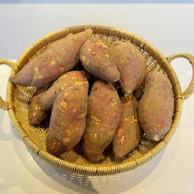 兴泉山芋5斤  线上