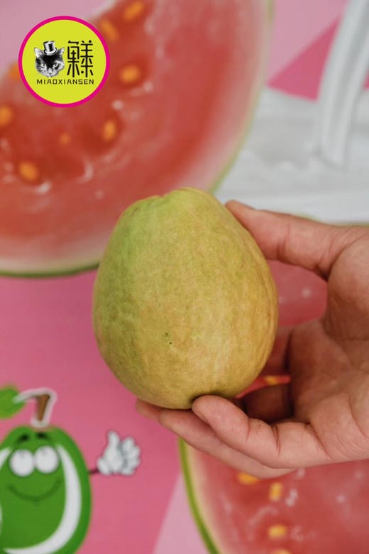 树熟草莓芭乐12枚礼盒装 商品图5