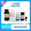 One-Step PAGE Gel Fast Preparation Kit (12%) 商品缩略图0