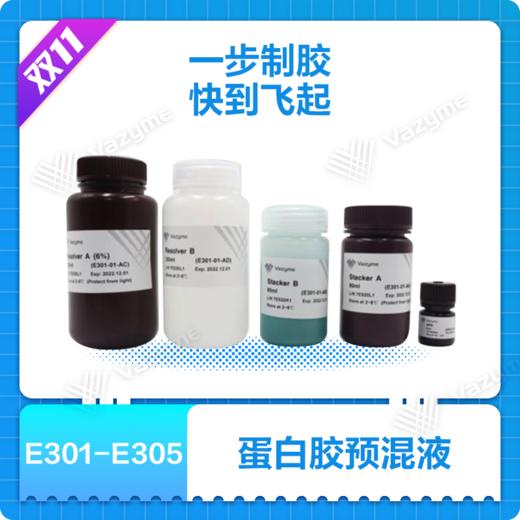 One-Step PAGE Gel Fast Preparation Kit (12%) 商品图0