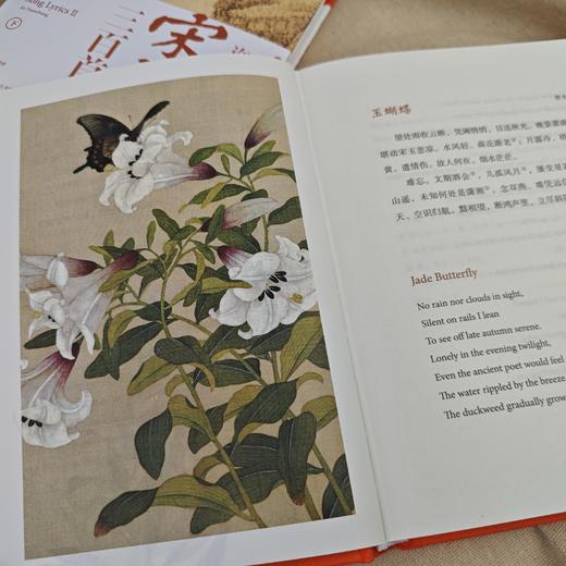 许渊冲译唐宋诗三百首 商品图5