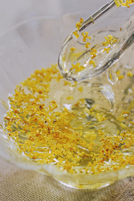 2025【广西金桂】品秋意正浓，赏桂花正香 商品图5