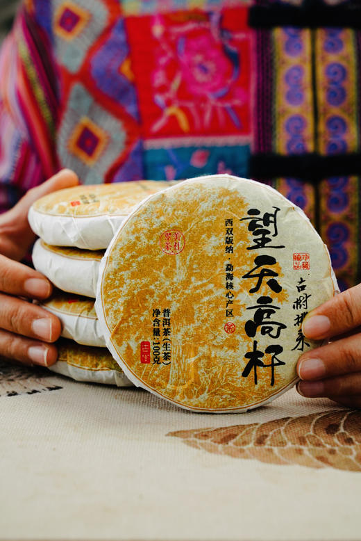 【望天高杆】易武望天高杆 商品图9