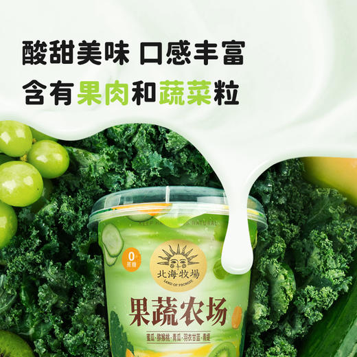 【新品】北海牧场果蔬农场0蔗糖酸奶5种果蔬风味发酵乳300g*6杯 商品图4