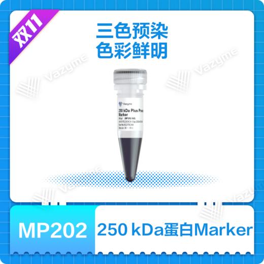 250 kDa Plus Prestained Protein Marker 商品图0