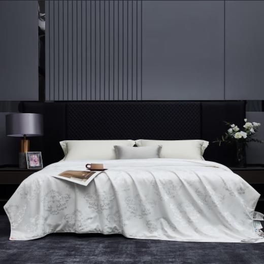 皮尔特保罗  全棉提花宫廷蚕丝被 POLOB-2451 商品图0