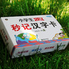 小学秒记汉字手卡小学生思维导图汉字识字速记启蒙认字卡片记汉字小学生一年级识字卡片认字通用象形图画汉字卡 商品缩略图3