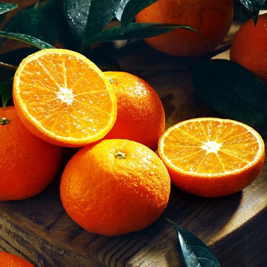 九稀 金秋砂糖橘 商品图1