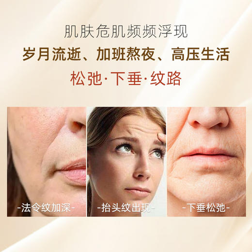 【休休专属】碧泉之谜 多重活细胞金胶充盈精华油 商品图1