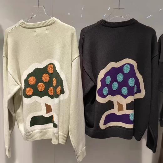 jasonwood  24年冬款  针织衫  441407002 商品图1