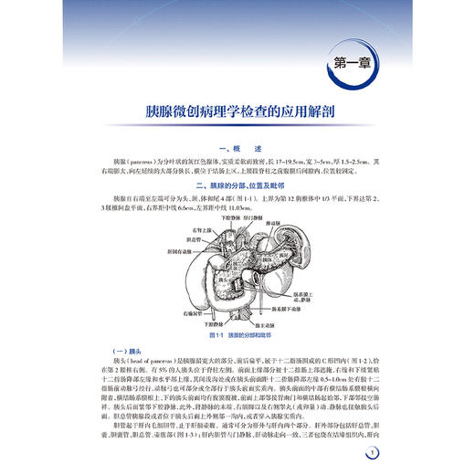 胰腺微创病理组织学与细胞学诊断技术（第2版）主编王凯旋 李兆申等 胰腺微创病理学检查的发展与现状9787117369367人民卫生出版社 商品图3